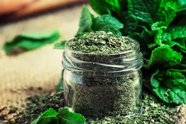 تصویر 4 از قیمت خرید نعنا خشک شیراز + فروش ویژه